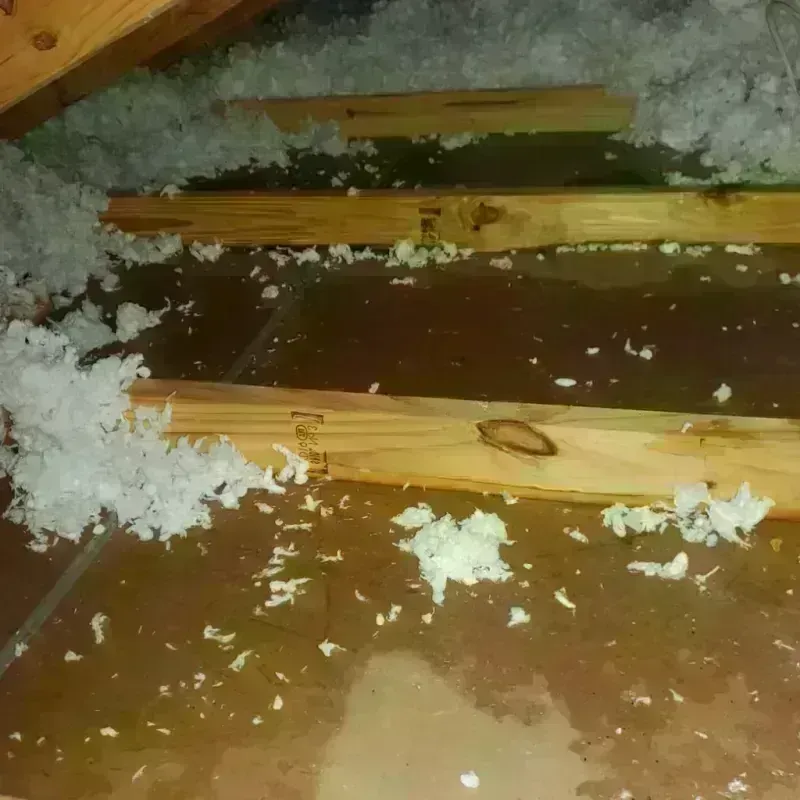 Attic Water Damage in West Pensacola, FL