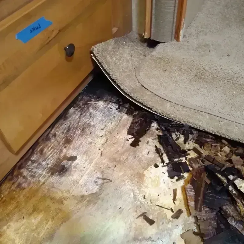 Best Wood Floor Water Damage Service in West Pensacola, FL